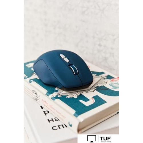 Мышь Canyon MW-21 (темно-синий)