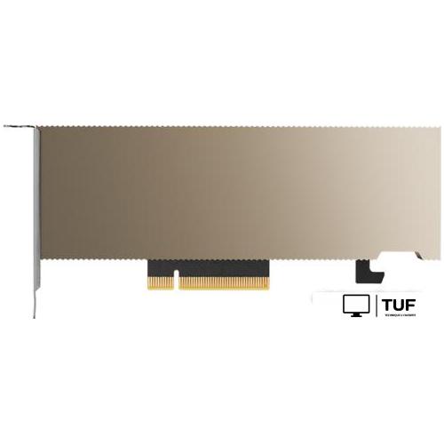 Видеокарта PNY NVIDIA A2 TCSA2M-PB