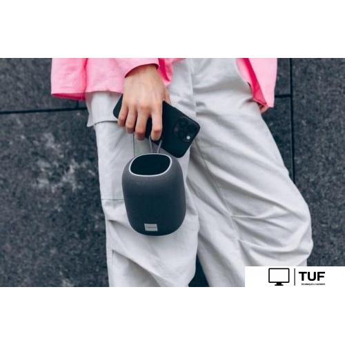 Беспроводная колонка Canyon BSP-8 (черный)