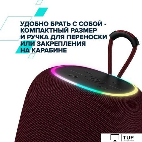 Беспроводная колонка Canyon BSP-8 (черный)