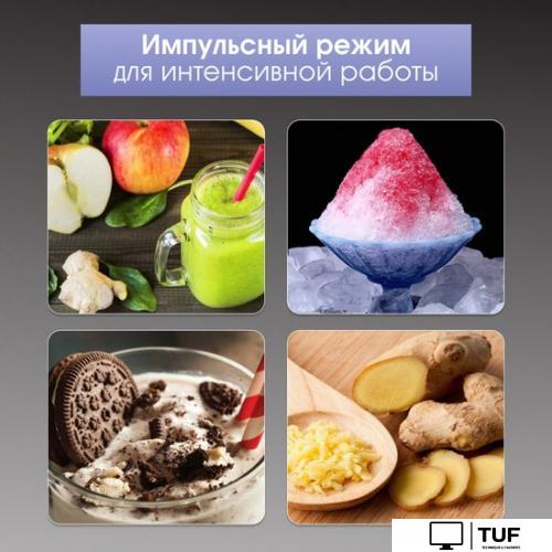 Стационарный блендер Zigmund & Shtain BS-448 D