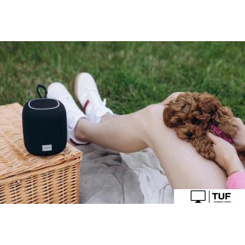 Беспроводная колонка Canyon BSP-8 (черный)