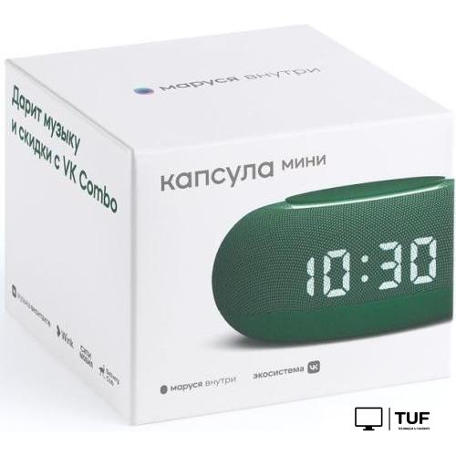 Умная колонка VK Капсула Мини (хвойный зеленый)