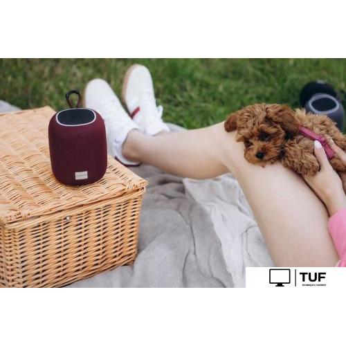 Беспроводная колонка Canyon BSP-8 (черный)