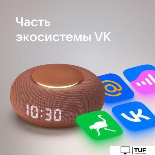 Умная колонка VK Капсула Мини (терракотовый)