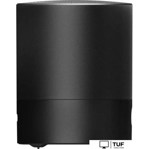 Беспроводная колонка HONOR Choice Mini (черный)