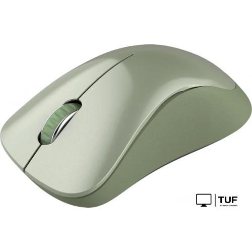 Мышь Canyon MW-11 (зеленый)