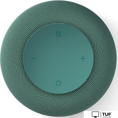 Умная колонка VK Капсула Мини (хвойный зеленый)