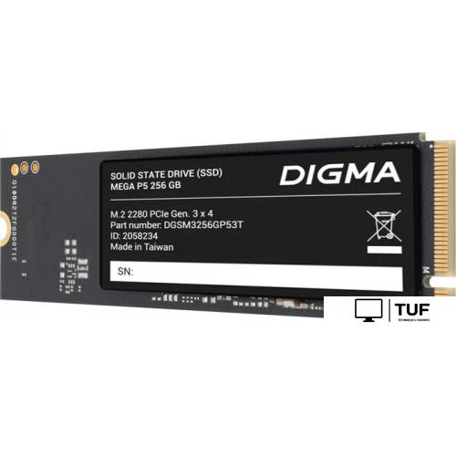SSD Digma Mega P5 256GB DGSM3256GP53T