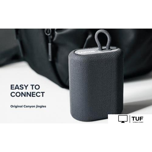 Беспроводная колонка Canyon BSP-4 (красный)