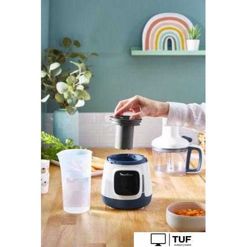 Погружной блендер Moulinex Yummy Gourmet DD55W110