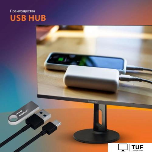 Монитор SunWind SUN-M24BA104