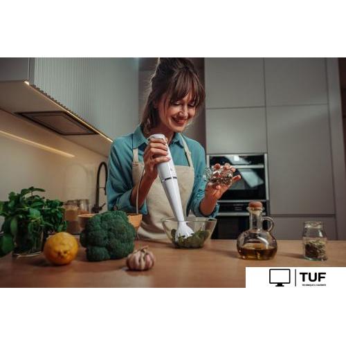 Погружной блендер AccesStyle HB7011W