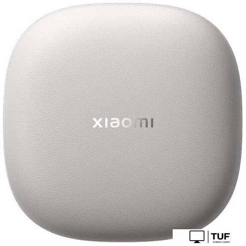 Наушники Xiaomi OpenWear Stereo M2503E1 (титановый серый, международная версия)