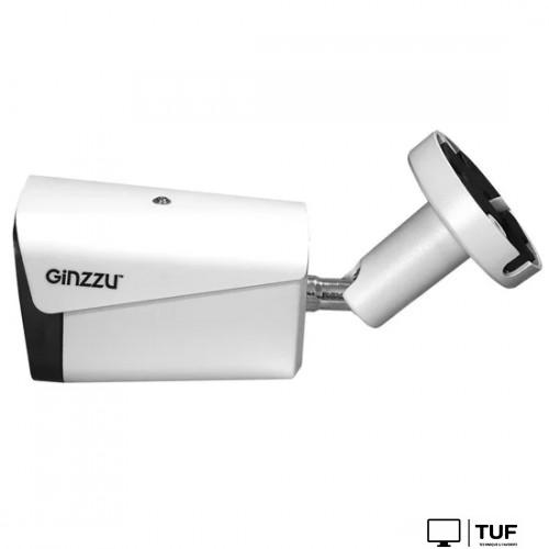 IP-камера Ginzzu HIB-4301A