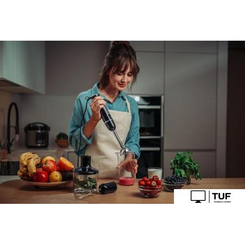 Погружной блендер AccesStyle HB8041B