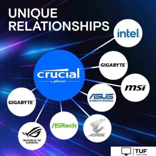 Оперативная память Crucial Pro 2x16ГБ DDR5 5600 МГц CP2K16G56C46U5