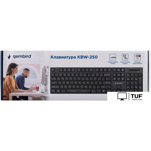 Клавиатура Gembird KBW-250