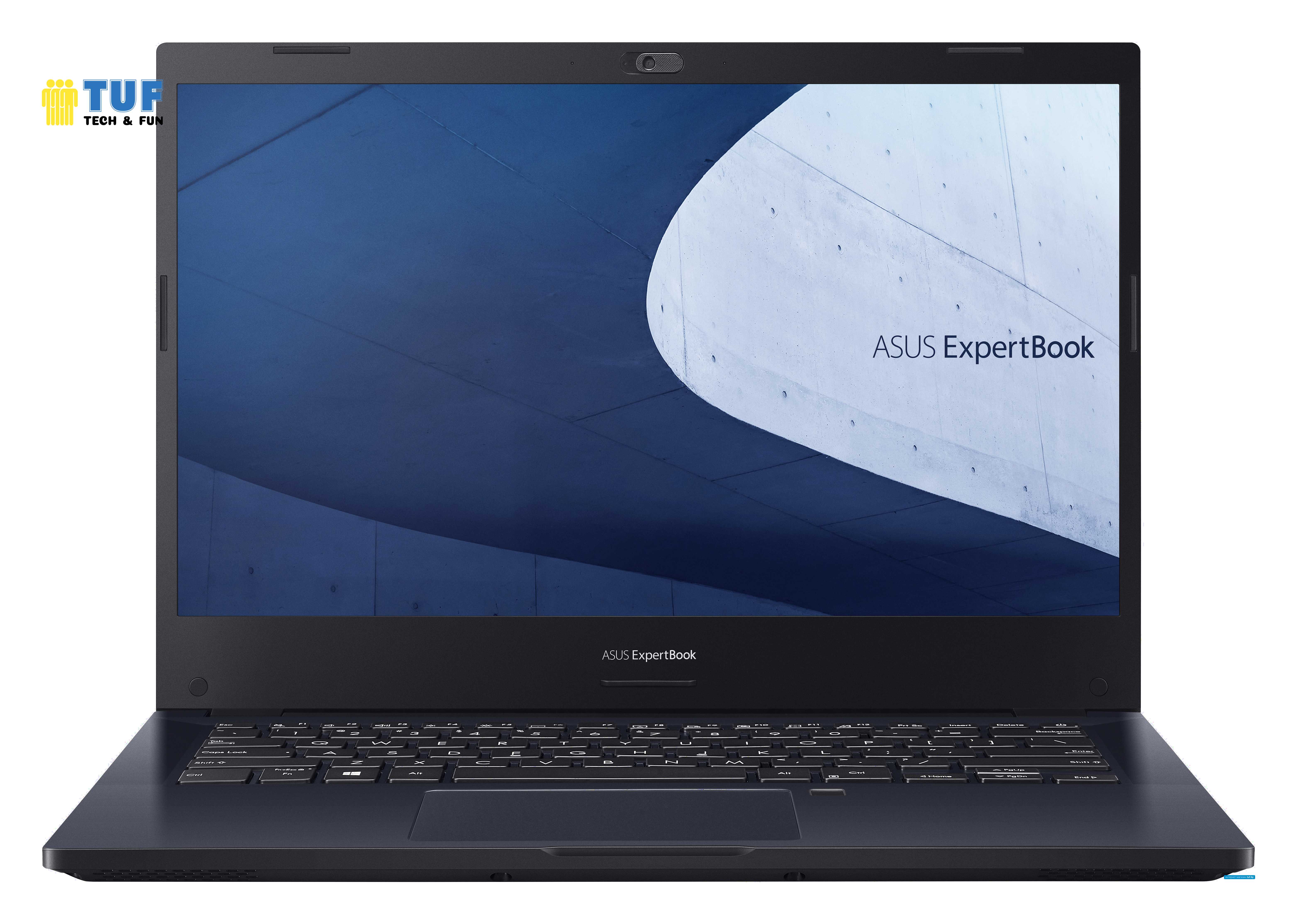 Ноутбук ASUS ExpertBook P2 P2451FA-EB1355