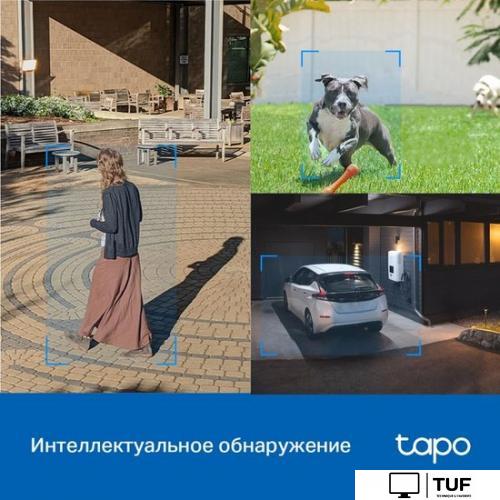 IP-камера TP-Link Tapo C520WS