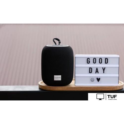 Беспроводная колонка Canyon BSP-8 (черный)