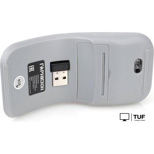 Мышь Гарнизон GMW-500-2