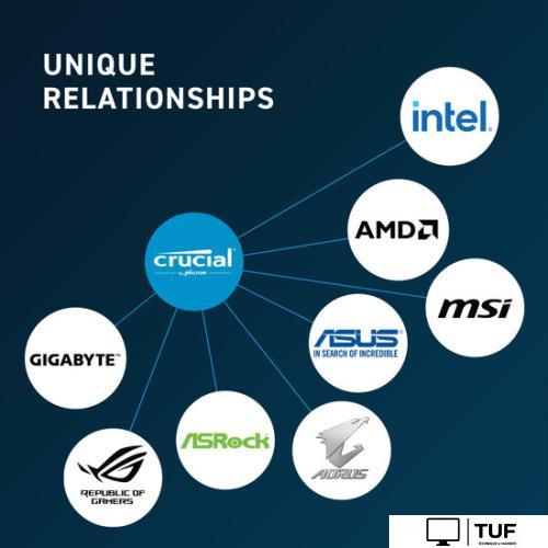 Оперативная память Crucial 32ГБ DDR5 5600 МГц CT32G56C46U5