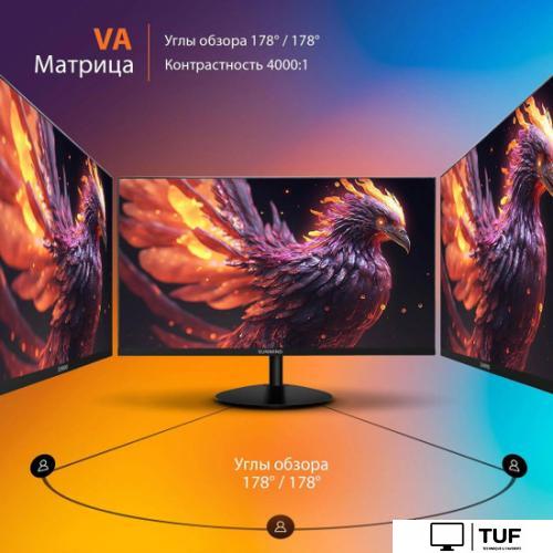 Монитор SunWind SUN-M24BA102