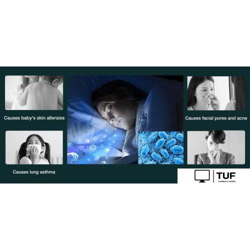 Пылесос для удаления пылевых клещей Jimmy BX6