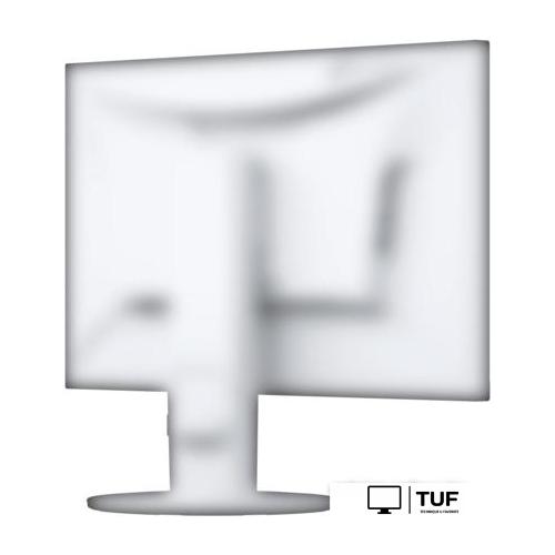 Монитор EIZO FlexScan EV2460-WT