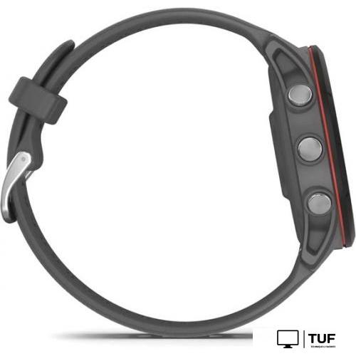 Умные часы Garmin Forerunner 255 (сланцево-серый/черный)