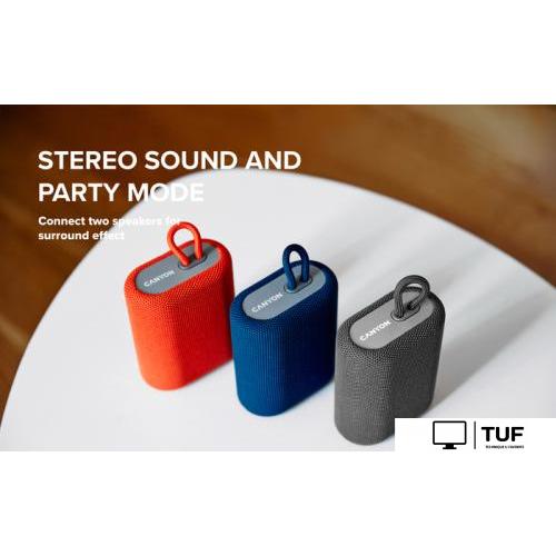 Беспроводная колонка Canyon BSP-4 (серый)