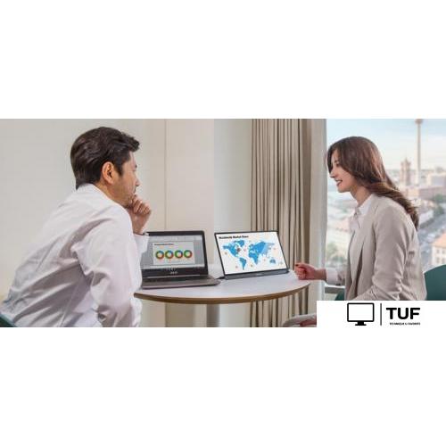 Портативный монитор ASUS ZenScreen MB16ACE