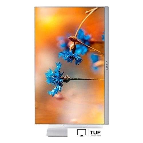 Моноблок ТЕСЛА P24WP 2116500