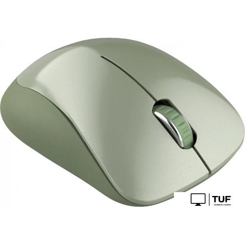 Мышь Canyon MW-11 (зеленый)