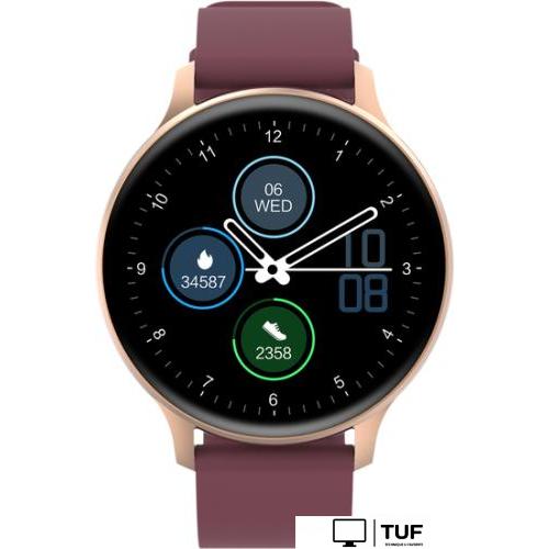 Умные часы Canyon Badian SW-68 (золотистый/бордовый)