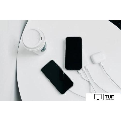 Внешний аккумулятор Canyon PB-1001 10000mAh (черный)