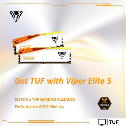 Оперативная память Patriot Viper Elite 5 RGB TUF Gaming Alliance 2x24ГБ DDR5 6600 МГц PVER548G66C34KT