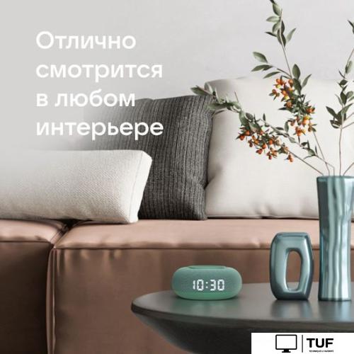 Умная колонка VK Капсула Мини (хвойный зеленый)