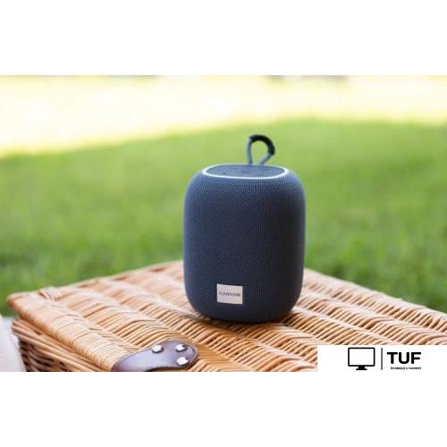 Беспроводная колонка Canyon BSP-8 (черный)