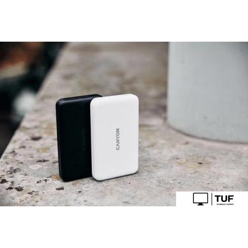 Внешний аккумулятор Canyon PB-1001 10000mAh (черный)