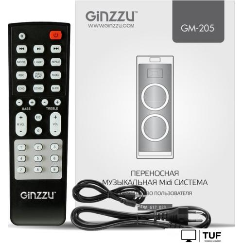 Колонка для вечеринок Ginzzu GM-205