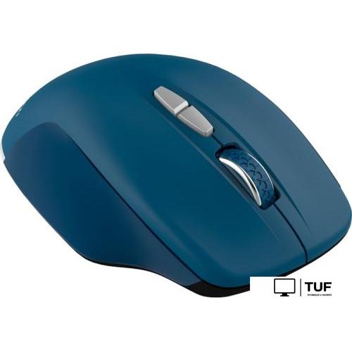 Мышь Canyon MW-21 (темно-синий)