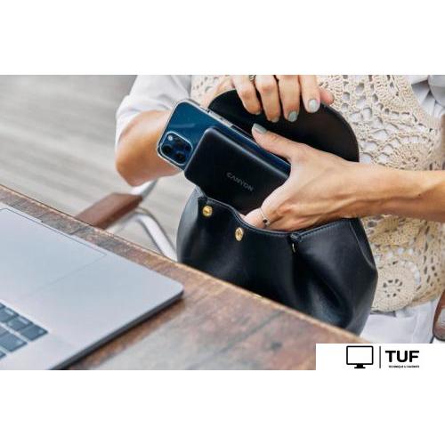 Внешний аккумулятор Canyon PB-1001 10000mAh (черный)