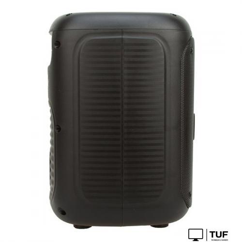 Беспроводная колонка Eltronic 20-46 Crazy Box 150