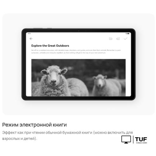 Планшет Huawei MatePad SE 10.4 AGS5-W09 3GB/32GB (графитовый черный)