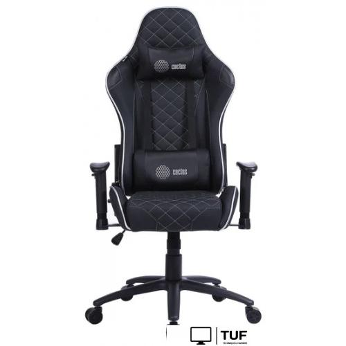 Игровое (геймерское) кресло CACTUS CS-CHR-030BLS (черный/серебристый)