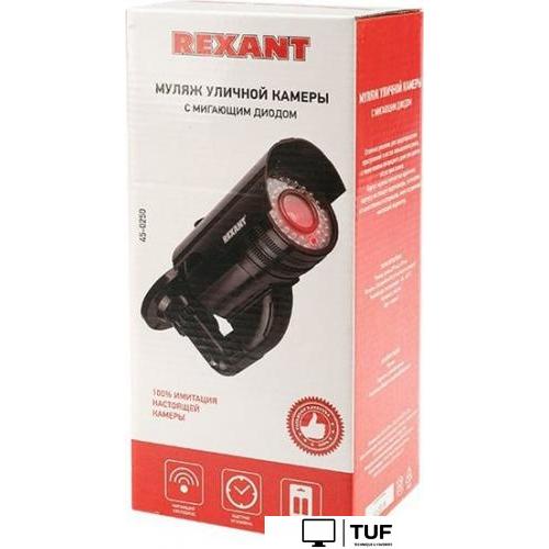 IP-камера Rexant 45-0250