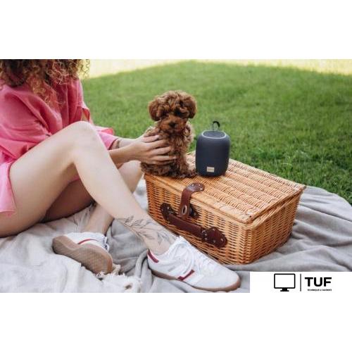 Беспроводная колонка Canyon BSP-8 (черный)