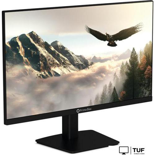 Монитор Prime Box Eagle M24 HVIB